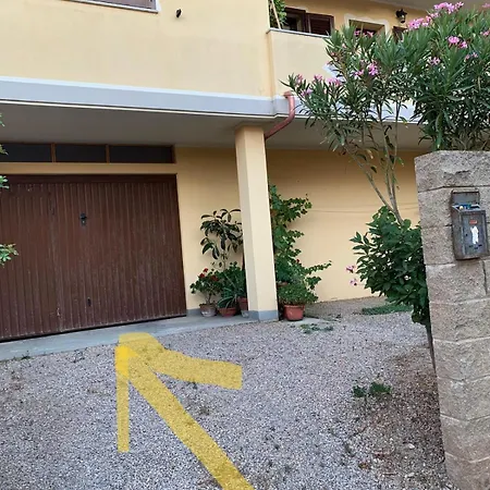Zia Maria *